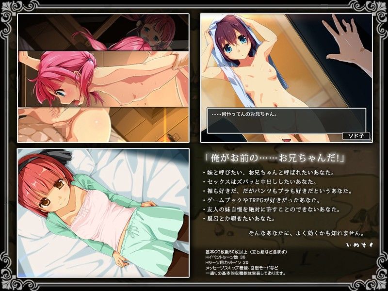限界!?お兄ちゃん シスタートラベル 画像4