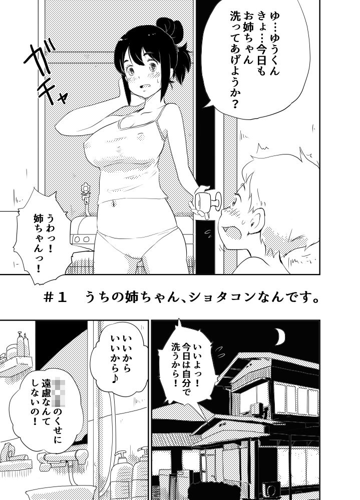 ショタコンの姉ちゃんは好きですか? 画像1