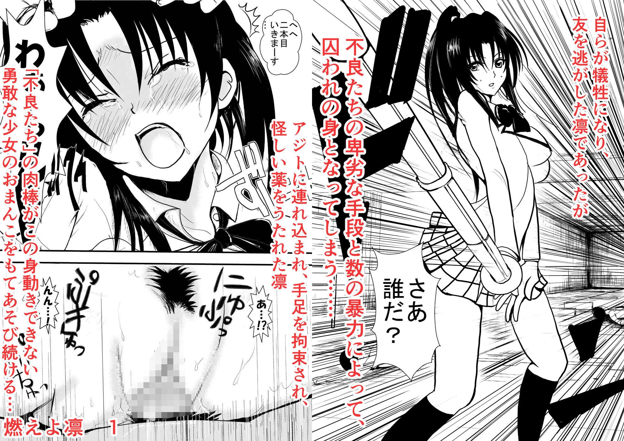 燃えよ凛 総集編 制服版特別豪華バージョン 画像3