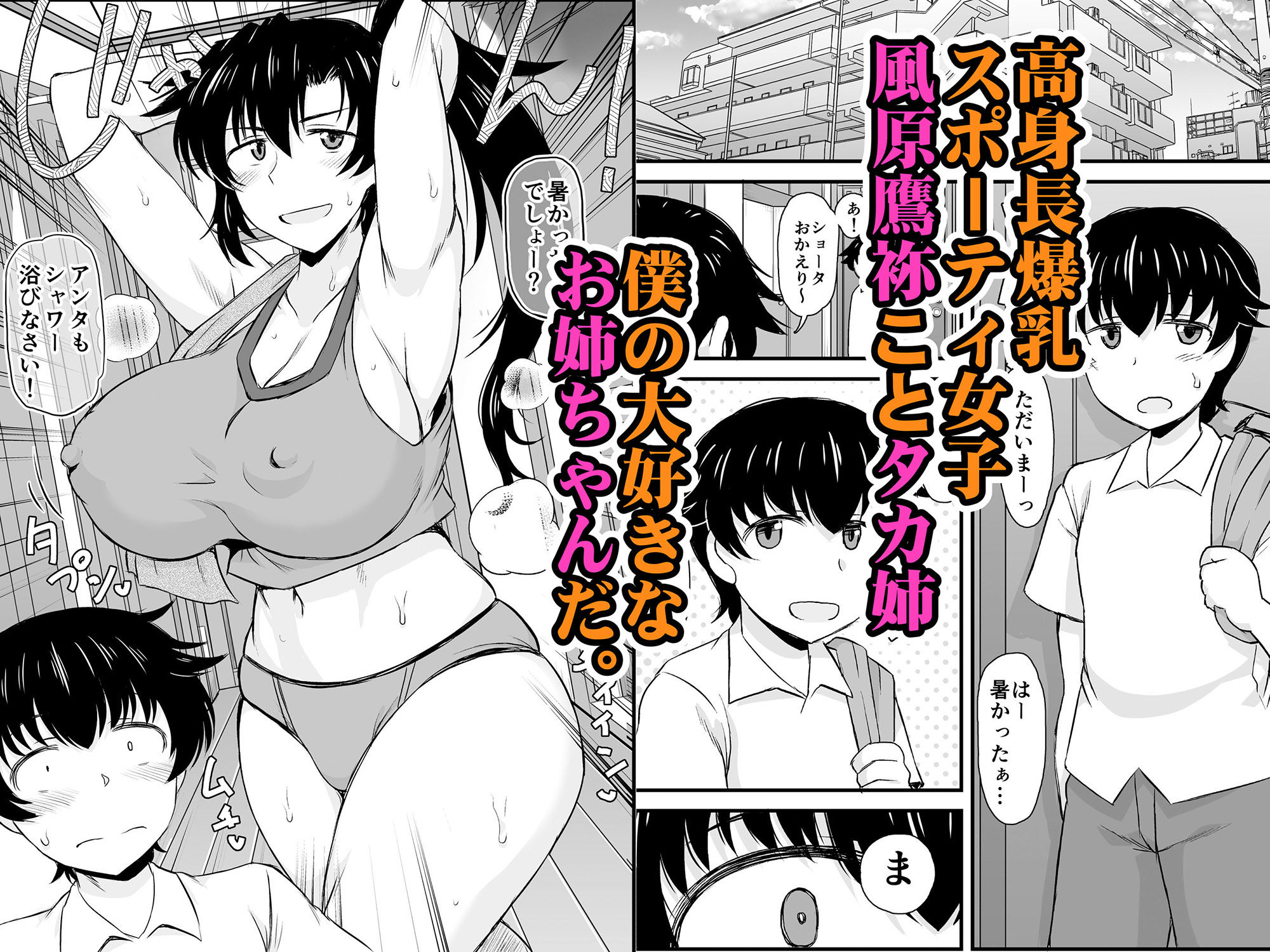 姉TRアネトラレ〜僕の大好きなお姉ちゃんがアイツに奪われた話〜DL増量版 画像1
