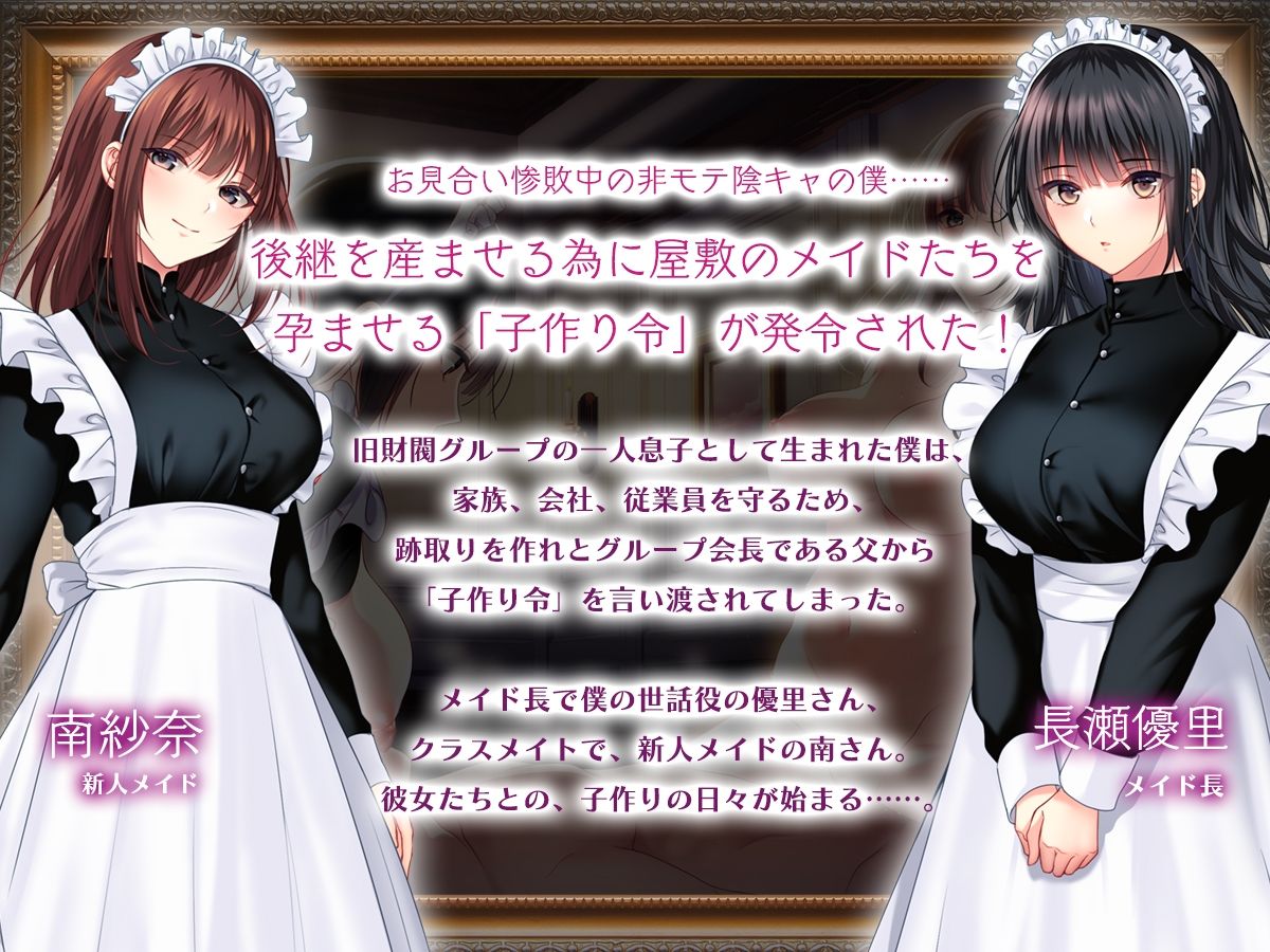 非モテでもメイドを孕ませたい! 画像2