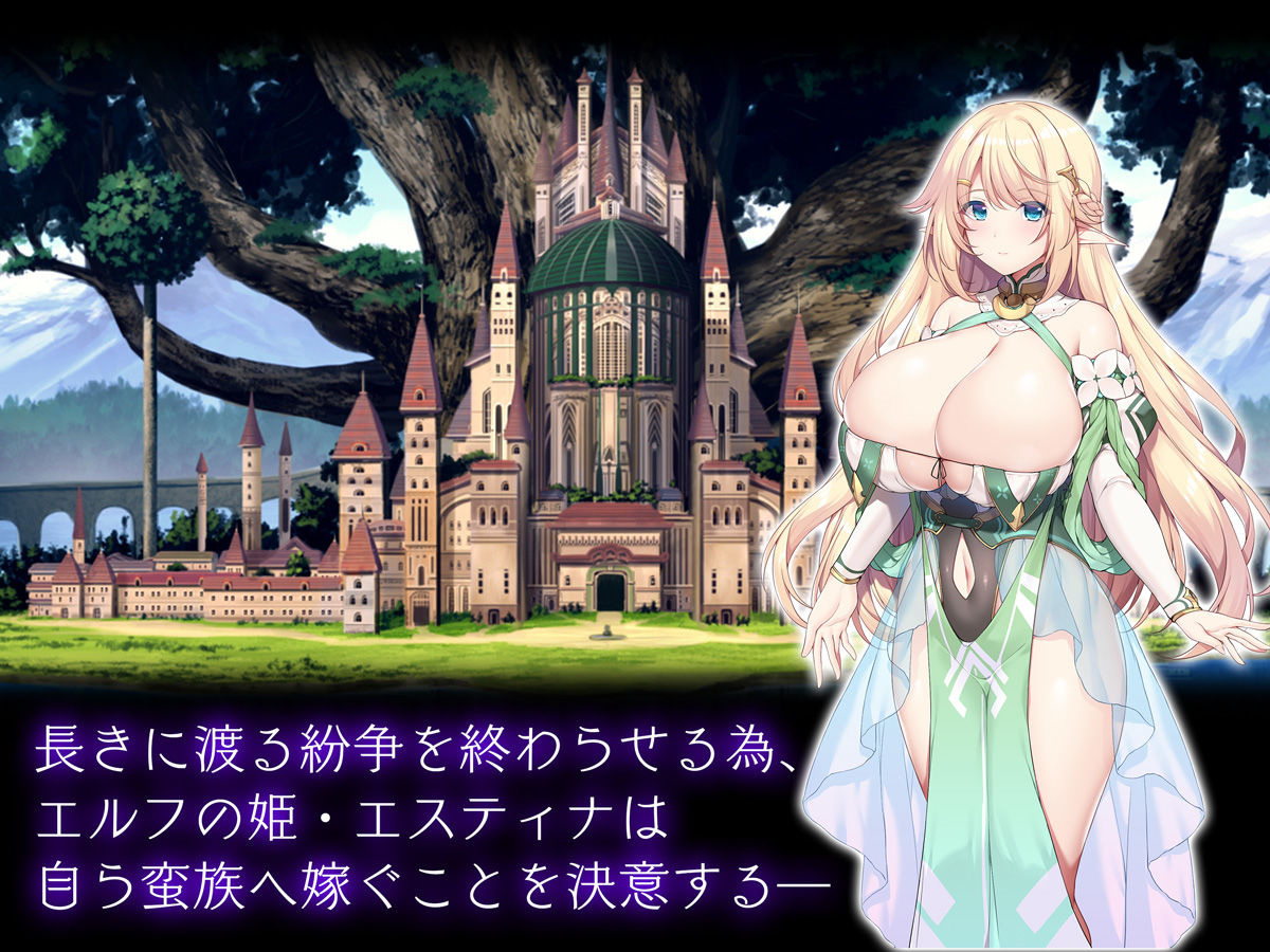 蛮族に嫁いだエルフの姫 画像1