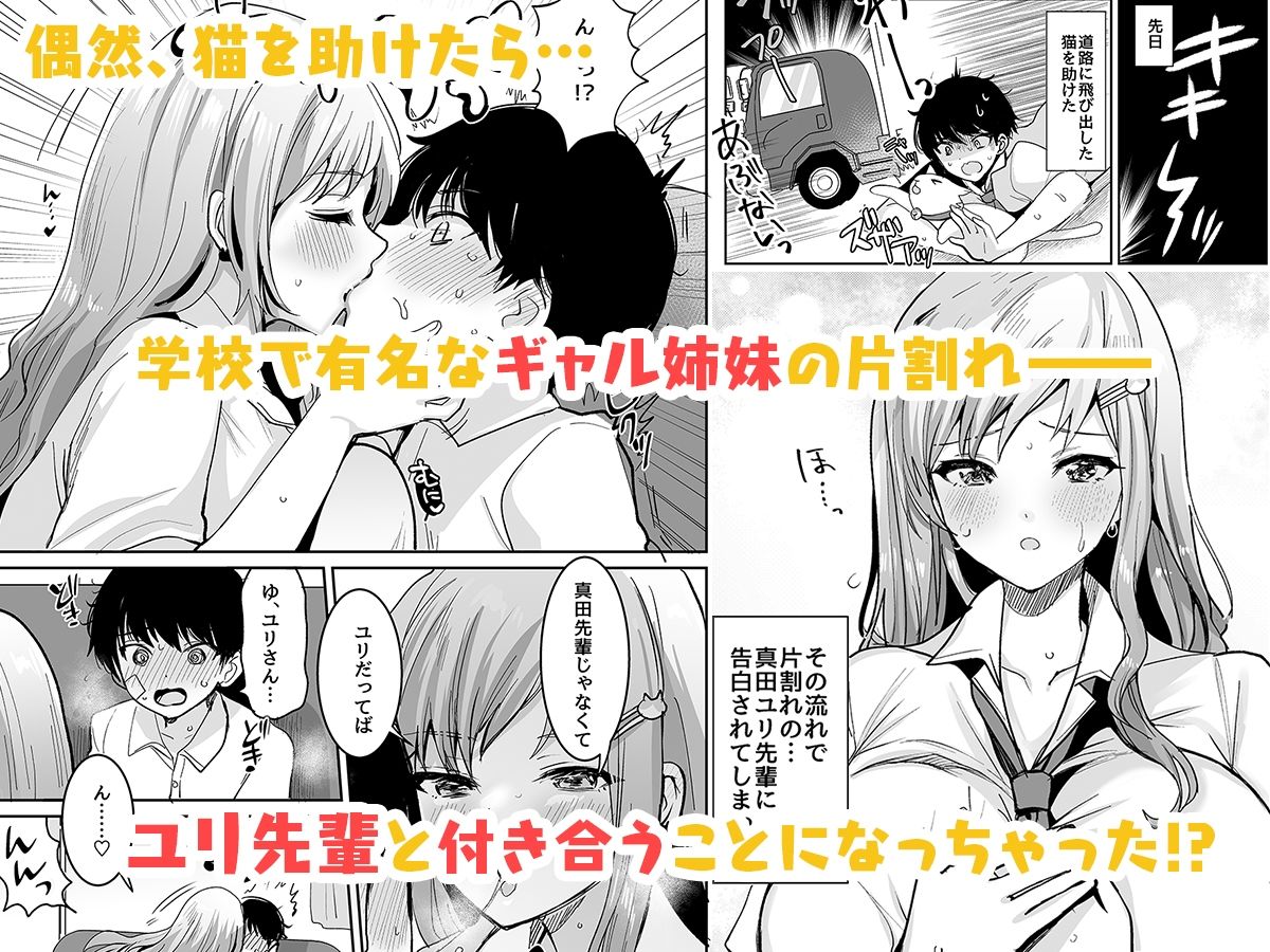 双子ギャルを僕のチンポで虜にしちゃった話。 画像1
