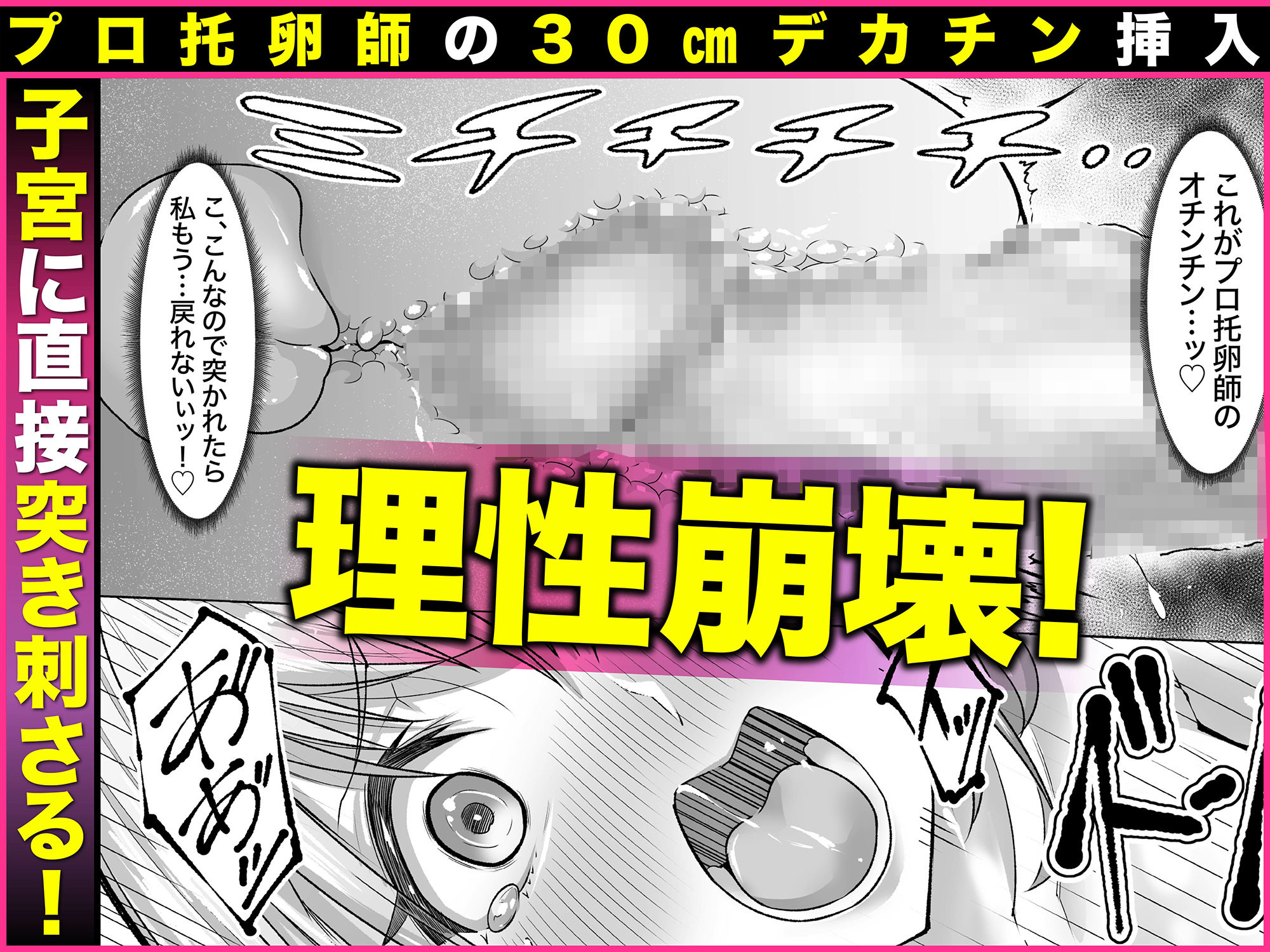 妊娠懇願寝取られ托卵妻〜30cm巨根托卵師に孕まされた変態人妻ミカ〜 画像5