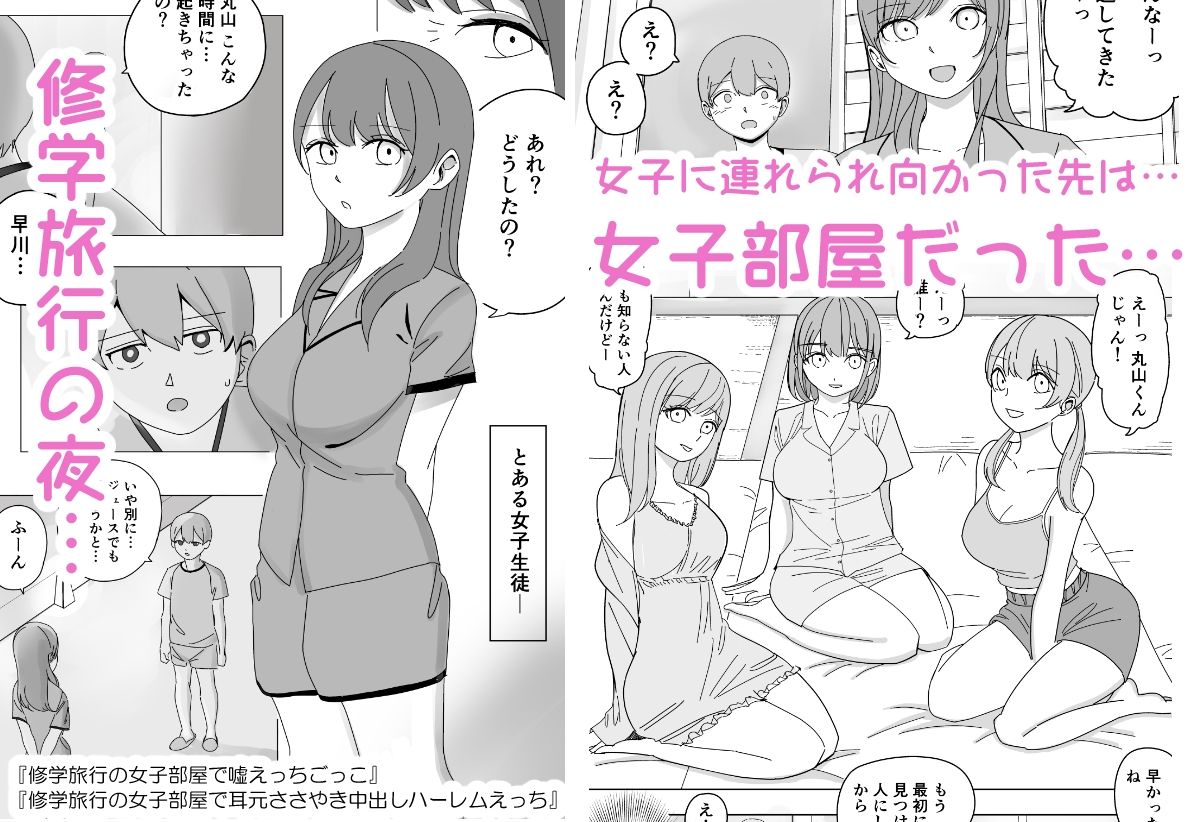 【総集編】ハーレムえっち修学旅行 画像1