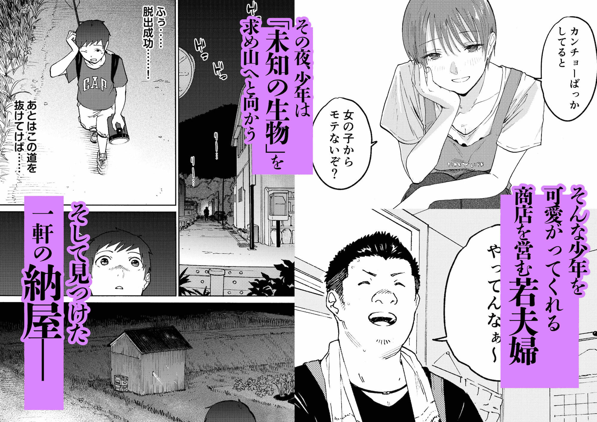 あの納屋 〜ぼくが見たことないおばさんの夜の姿〜 画像2