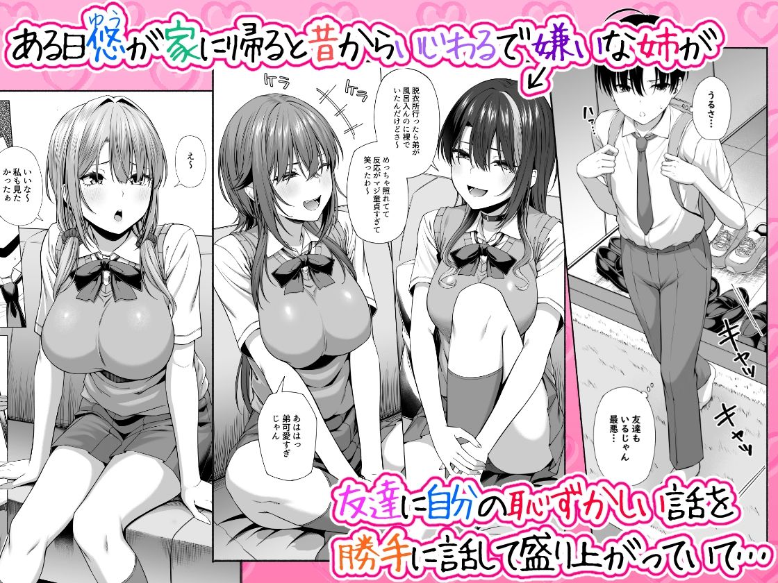 悠くん、お姉ちゃんとアソばない?? 画像1