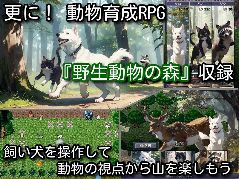 妹と! 山奥で自給自足サバイバル生活 画像7