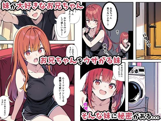 性欲ムンムンツンデレ妹が俺のパンツでオナニーしてたので我慢出来ず膣内出しした話 画像2