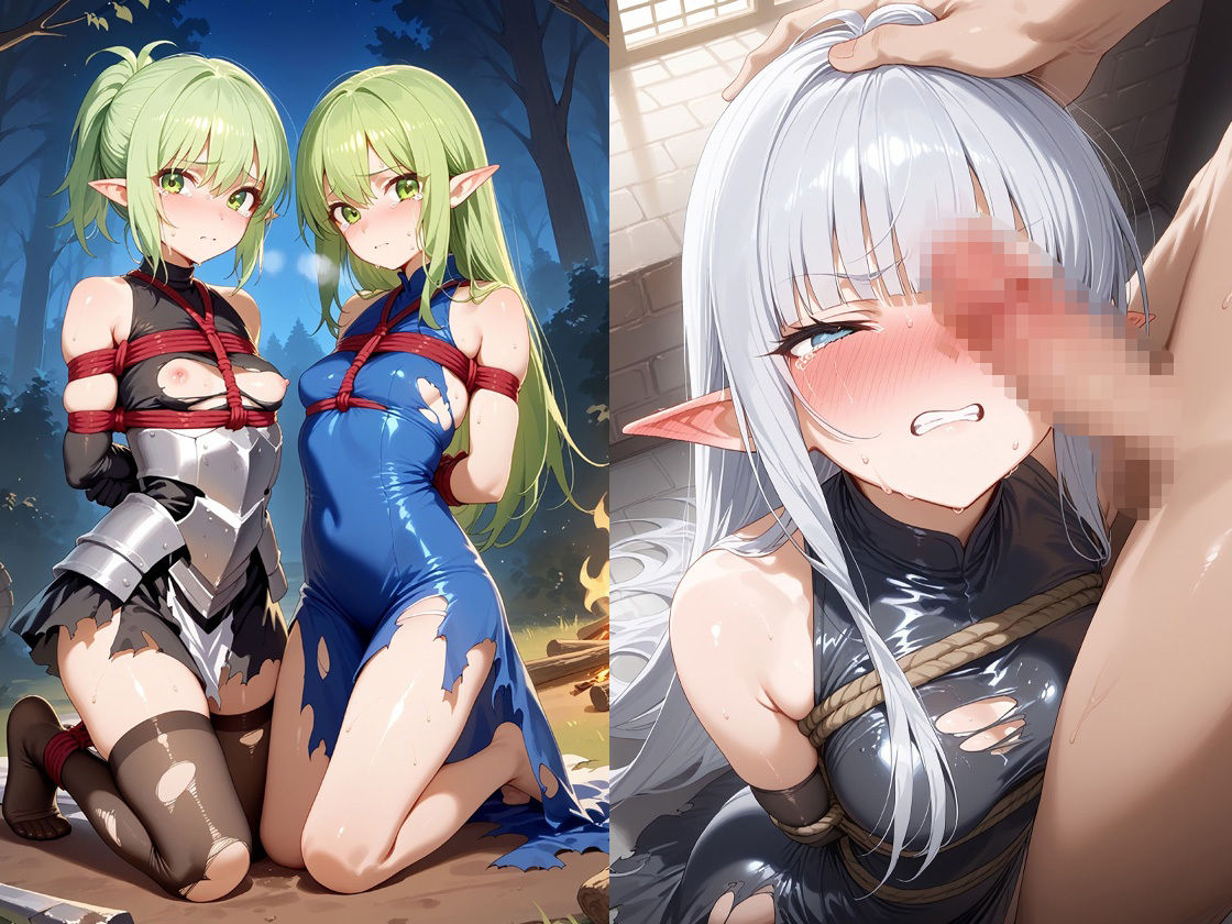 敗北&奴●堕ちしちゃうエルフ騎士さん 画像3