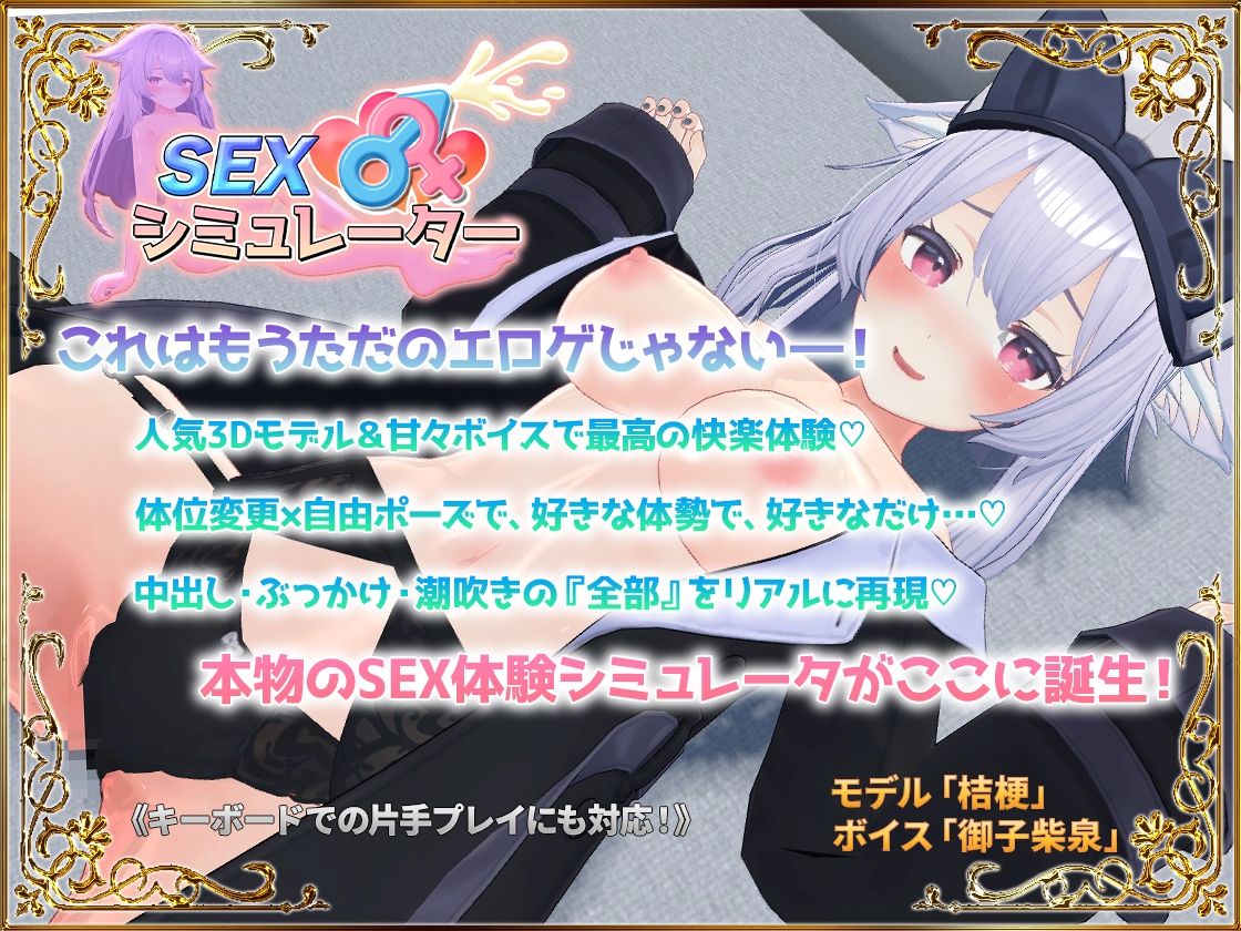 SEXシミュレーター 画像10