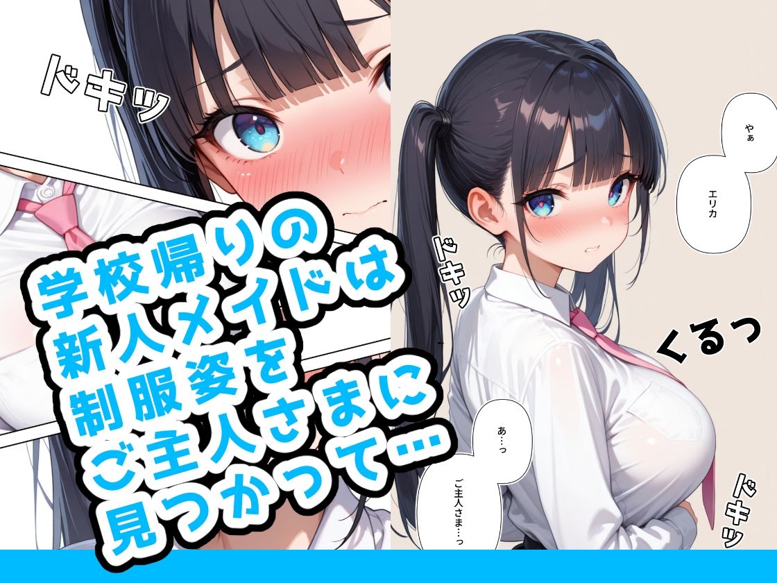 新米メイドには絶対遵守の掟がある3 制服編 画像1