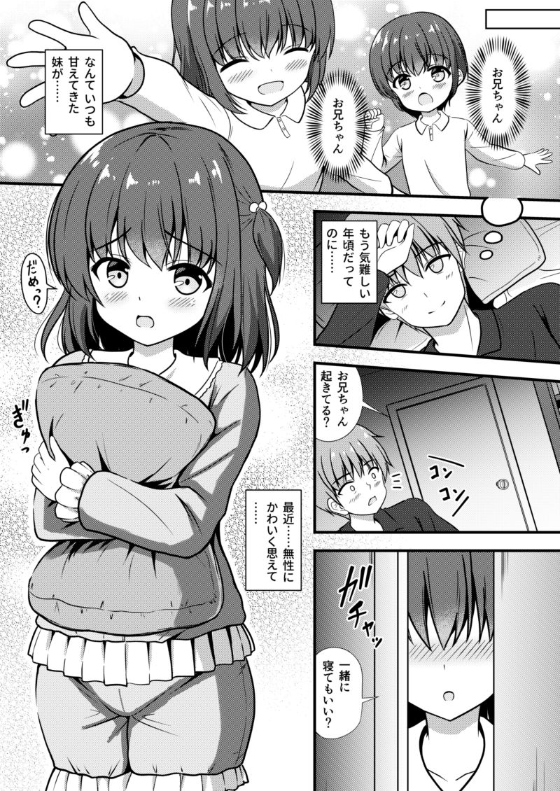 兄は妹とヤりたい 画像1