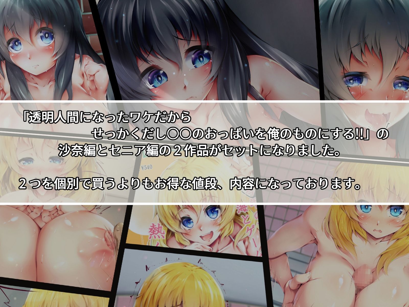 透明人間になったワケだから せっかくだし○○のおっぱいを俺のものにする!! 沙奈&セニア Wセット 画像1
