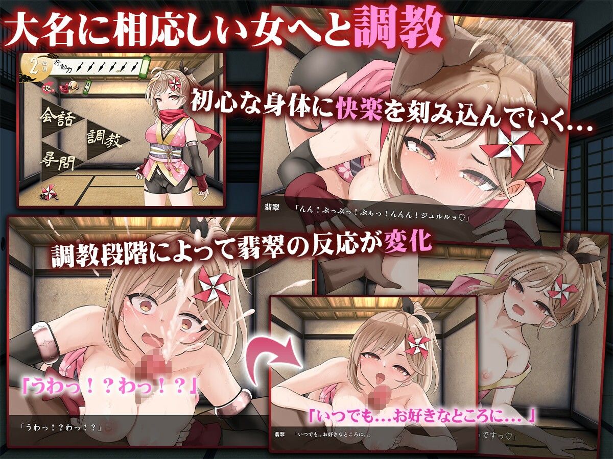 蜜壺の檻〜囚われくのいちの献上録〜 画像2